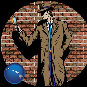 a private detective with a brick wall background - with Hawaii icon